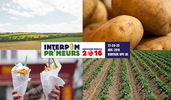 Potatoes, seeds, fries, vegetables, Wallonia, Interpom | Primeurs 2016