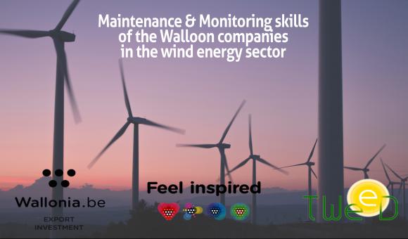 renewable energy, sustainable development, wind turbine, green, Trondheim, innovation, know-how, Wallonia